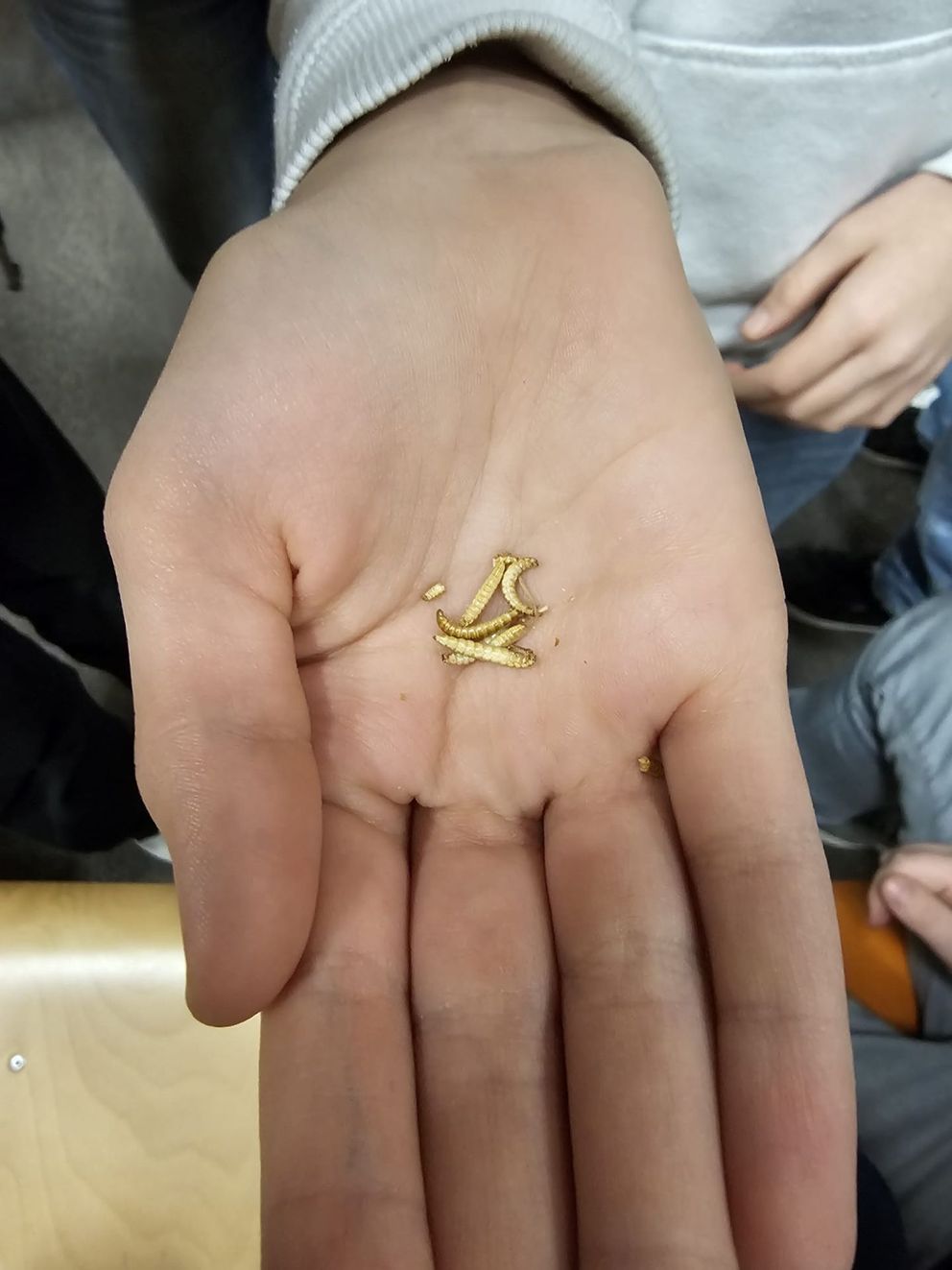 Umweltbildungsveranstaltung „Energievision“ bei uns zu Gast